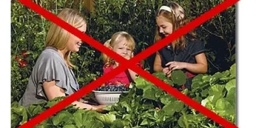 ΚΑΝΟΝΙΣΜΟΣ «για την παραγωγή και τη διαθεσιμότητα φυτικού αναπαραγωγικού υλικού»