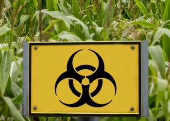 Ε.Ε. προσπάθεια κατάργησης σήμανσης στα μεταλλαγμένα